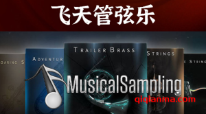 Musical Sampling Soaring Strings Brass KONTAKT-9套飞天管弦乐音源合集