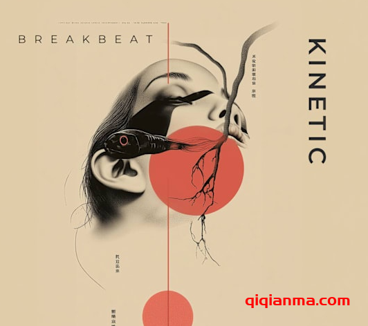 [鼓打贝斯采样]Zenhiser Kinetic Breakbeat [WAV]（972.2MB）