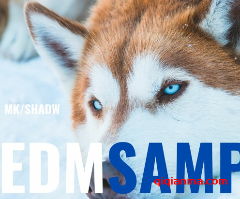 [EDM电子舞曲采样]MKShadw EDM Sample Pack [WAV]（68MB）