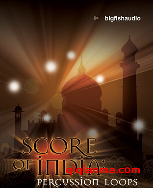 [民族电影打击乐素材]Big Fish Audio Score of India Percussion Loops（1.18GB）