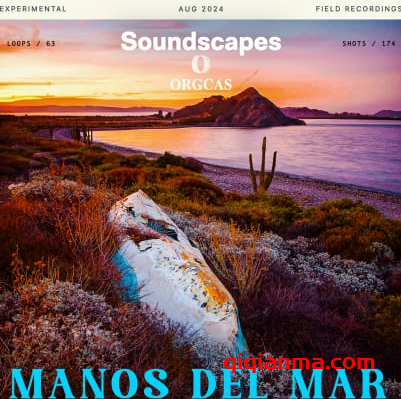 [民族氛围采样]Splice Soundscapes Manos Del Mar [WAV]（833.10Mb）