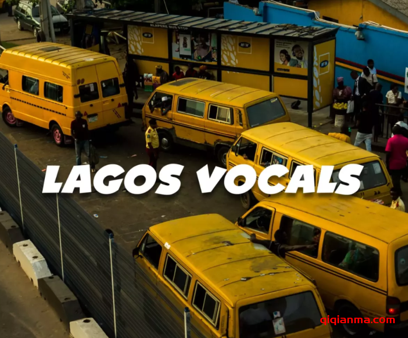[非洲节奏人声采样]VOCAL GXD Lagos Vocals [WAV]（35Mb）