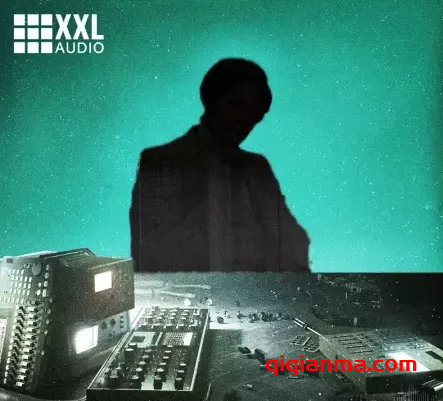 [低保真嘻哈采样]Prime Loops BEATFOOD Lofi Chops [WAV]（127Mb）