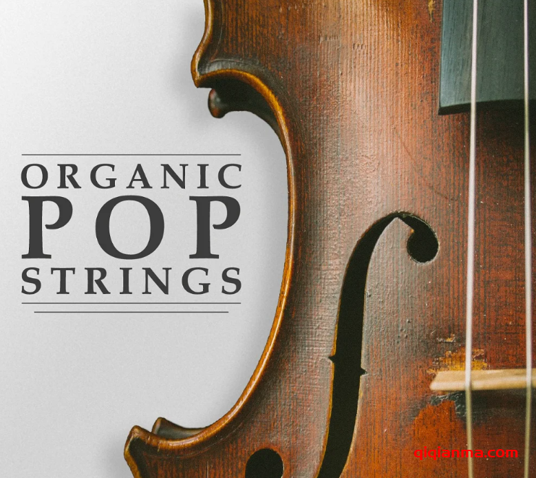 [流行乐采样]DM Samples Organic Pop Strings [WAV]（2.28Gb）
