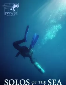 Performance Samples Solos of the Sea Solo Violin B KONTAKT独奏连奏小提琴音源