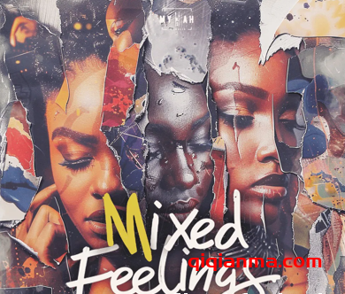 [非洲节奏采样]Mykah Mixed Feelings Afrobeats Hits [WAV]（164.21MB）