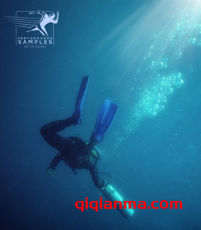 Performance Samples Solos of the Sea Solo Violin A KONTAKT独奏连奏小提琴音源