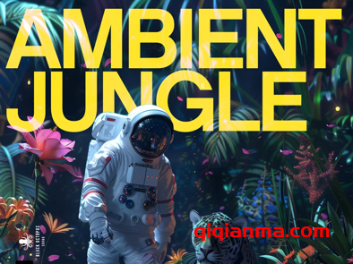 [回响重拍氛围驰放采样]Black Octopus Sound Ambient Jungle By Blackwarp [WAV]（910.99MB）