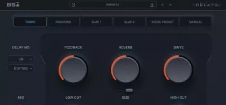 Win Black Salt Audio BSA Delays v1.0.12-SEnki延迟效果器