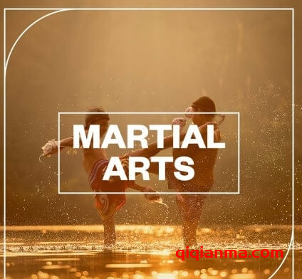 [武打音效FX采样]Blastwave FX Martial Arts [WAV]（9.59Mb）