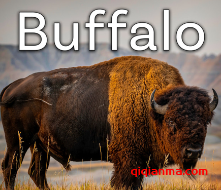 [水牛音效FX采样] Sound Ideas Buffalo Sound Effects [FLAC]（132MB）