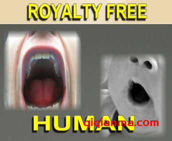 [电影特效人群和群体音效] Sound Effect Kings Royalty Free Human People and Crowd Sound Effects (197 Tracks) FLAC（373.15MB）