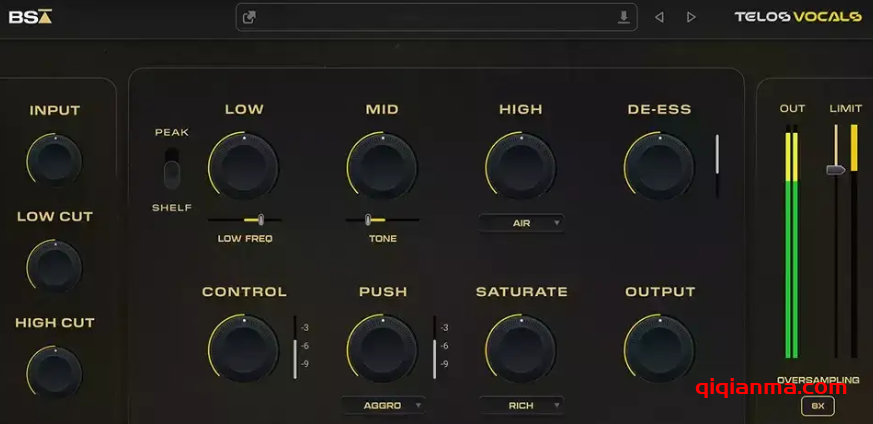 Win Black Salt Audio Telos Vocals v1.0.12-SEnki完美轻松获得电台级人声的混音插件