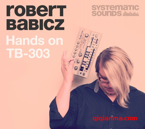 [电子乐素材]Systematic Sounds Robert Babicz Hands On 303 [多格式]（1.23Gb）