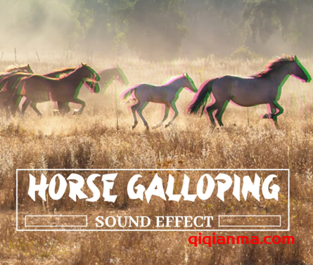 [马蹄声效FX素材] Pro Sound Effects Library Horse Galloping Sound Effect [FLAC]（151MB）
